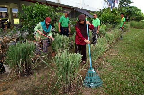 PK02_05082017_HIJAU