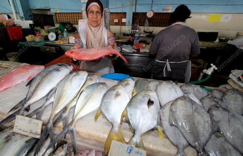 TINJAU HARGA