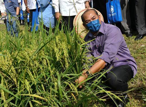 DATUK SHAM MAT SAHAT