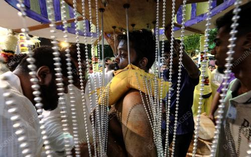SAMBUTAN PERAYAAN THAIPUSAM