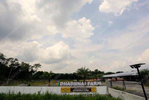PENTERNAK DHAB AZHAR MOHAMAD SHAFAWI