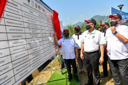 DATUK SERI DR SHAMSUL ANUAR NASARAH