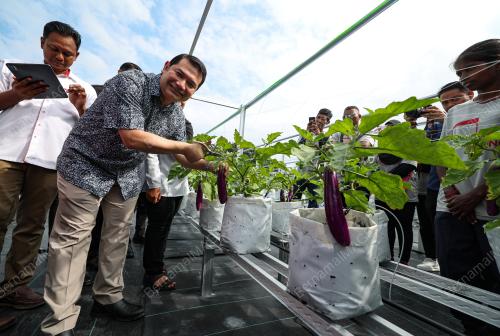 RAFIZI RAMLI
