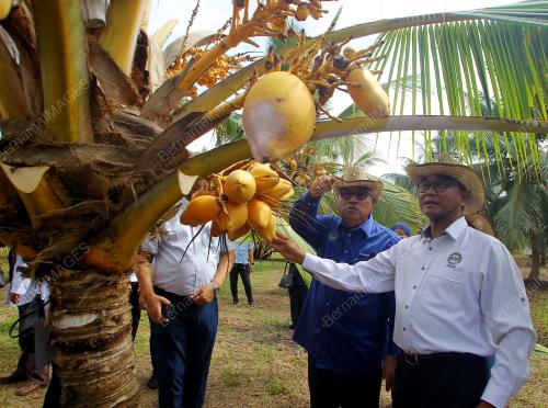 DATUK MOHD ZOLKAFLY HARUN