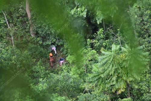 PK02_14112017_LATIHAN_D_MEX