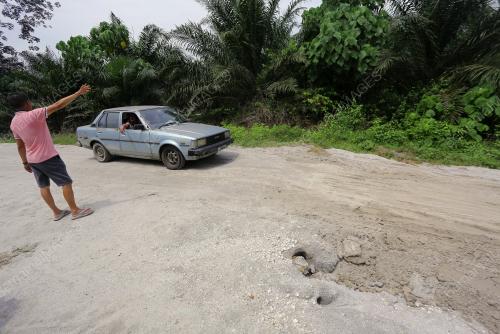 LALUAN TIKUS KAMPUNG PALAWAN TULAR