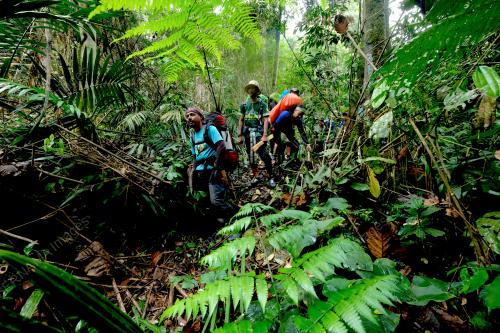 KONSERVASI GUNUNG KORGA 2022