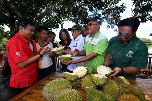 PK02_18112017_AU_DURIAN