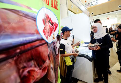 DATUK AZULITA SALIM