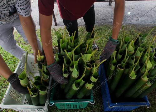 LEMANG DAUN LEREK