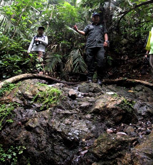 PK02_20102015_ROYAL_BELUM