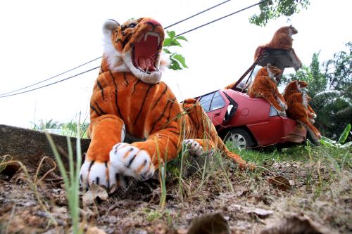 PK02_21062018_HARIMAU