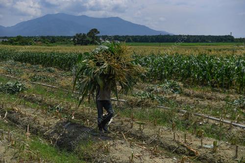 TINJAUN CUACA PANAS DI IPOH