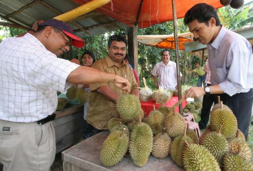 DURIAN