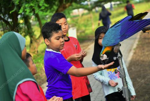 TINJAUAN CUTI SEKOLAH PENGGAL SATU