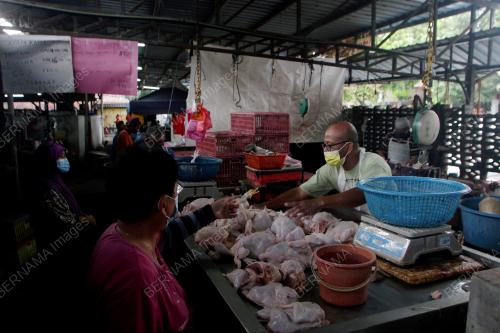 TINJAUAN AYAM