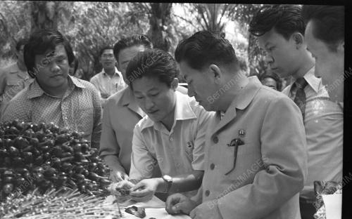 NAIB PRESIDEN KOREA