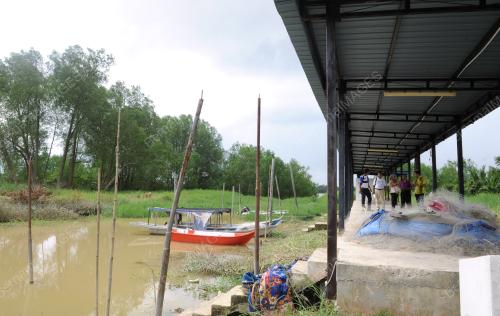 PK03_01112014_TAJUDDIN