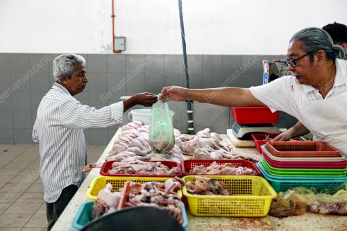 TINJAUAN PENJUALAN AYAM