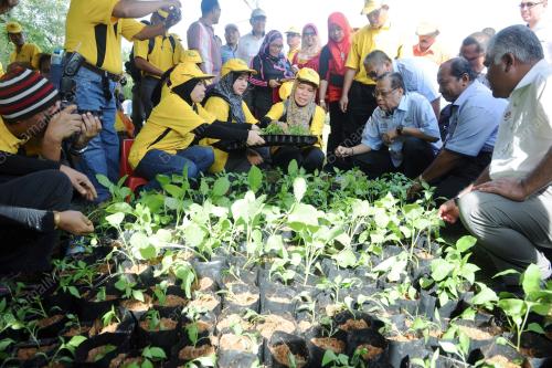 PK03_02112014_ISMAIL