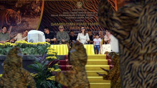 PK03_03082019_HARIMAU_BN201907296559