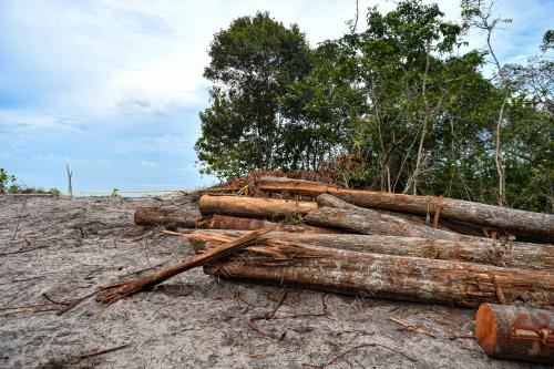 BANTAHAN AKTIVITI PENGOREKAN PASIR DI PANTAI PASIR PANJANG