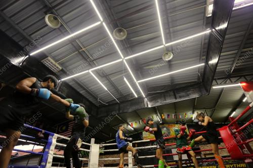 PERSIAPAN SUKMA MUAY THAI PERAK