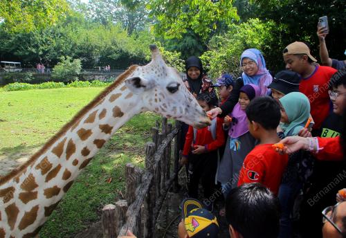 PROGRAM LET'S NURTURE THE NATURE