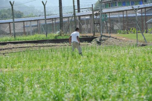 PK03_06012014_PENJARA