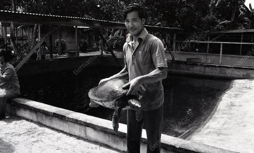 PROJEK PEMBIAKAN TUNTUNG
