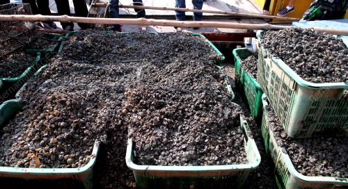 PK03_06072015_KERANG