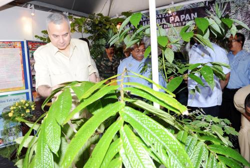 PK03_07112013_NAZRIN_POKOK