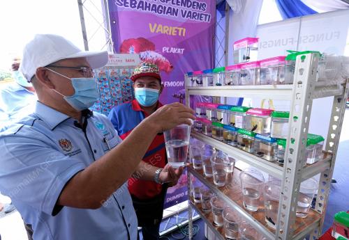 DATUK SERI DR RONALD KIANDEE
