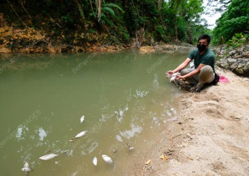 SUNGAI TERCEMAR DI MERU