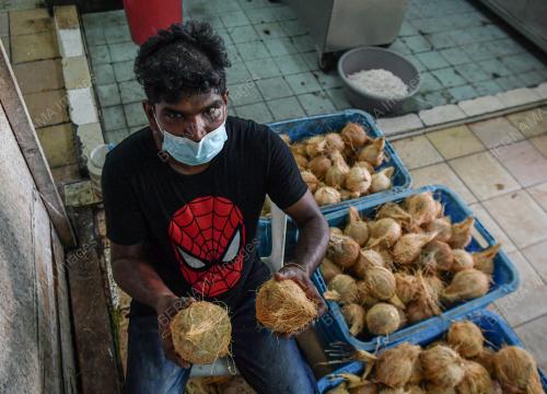 JUALAN KELAPA MENJELANG PERAYAAN THAIPUSAM