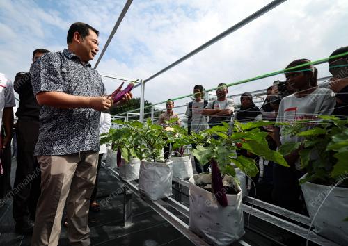 RAFIZI RAMLI