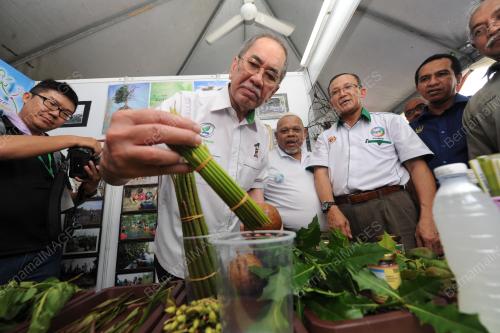 DATUK SERI DR. WAN JUNAIDI TUANKU JAAFAR