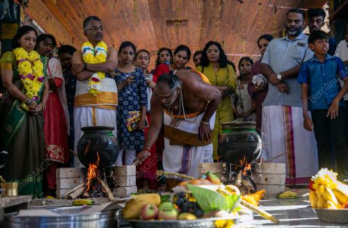 PESTA PONGGAL