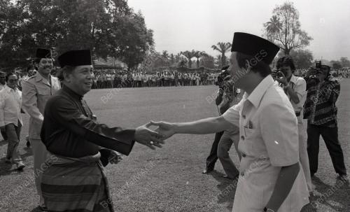 MUSA HITAM