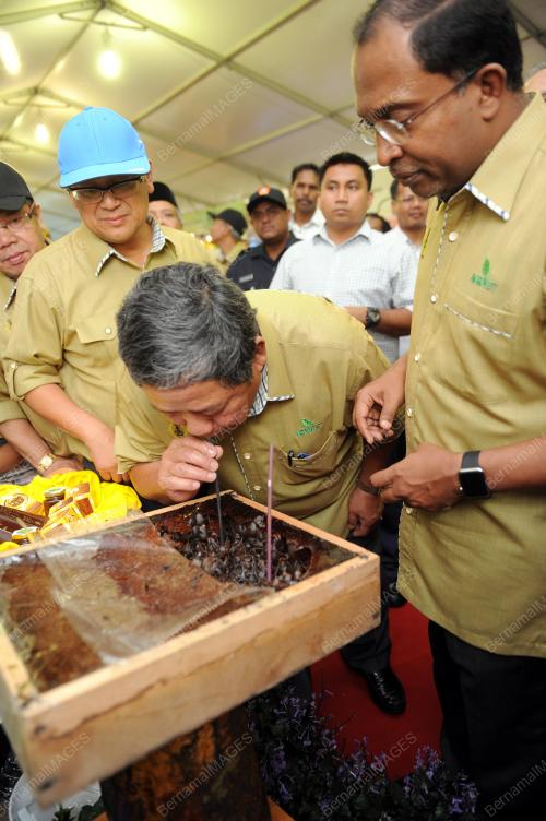 PK03_17092015_AGROFEST