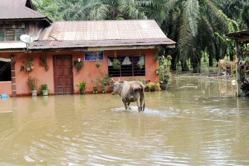 PK03_17122015_BANJIR