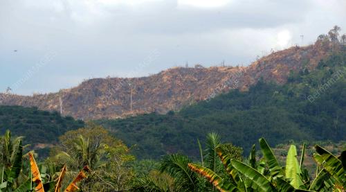 PK03_18022014_TERBAKAR