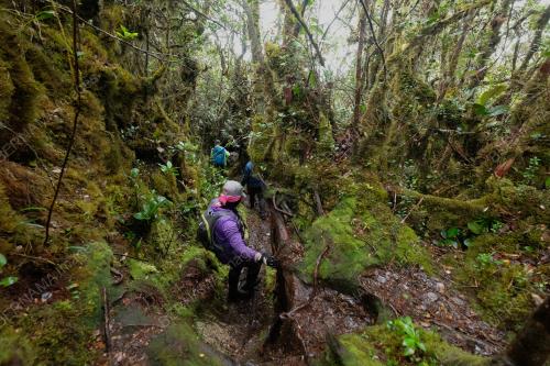 KONSERVASI GUNUNG KORGA 2022