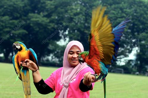 SILATURAHIM SANTAI FREE FLY