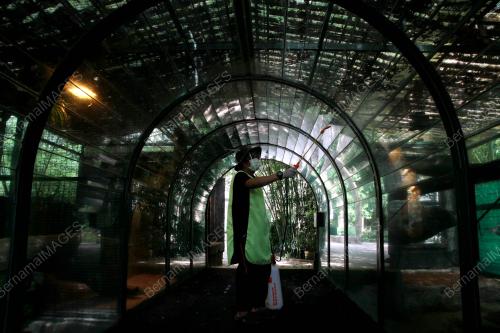 LOST WORLD PETTING ZOO DIBUKA SEMULA