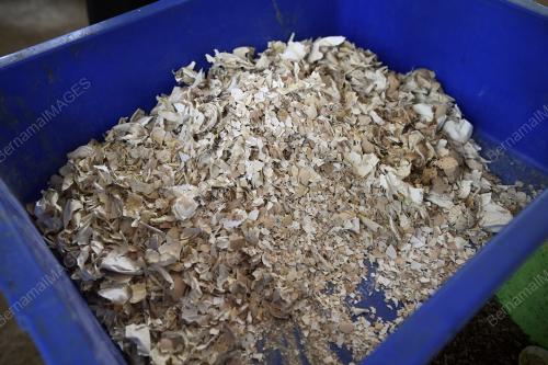 SEKTOR PENTERNAKAN BERI PELUANG PENDUDUK DI SLIM TAMBAH PENDAPATAN