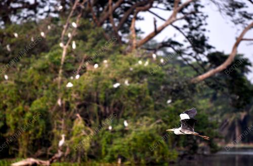 PK03_25072018_TAMAN_ALAM