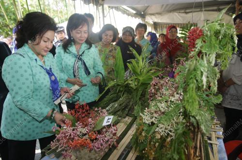 ROSMAH MANSOR
