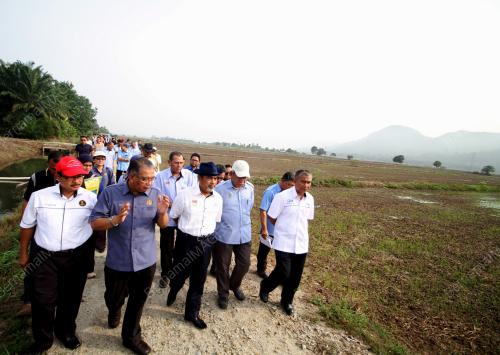 PK03_30042016_SAWAH