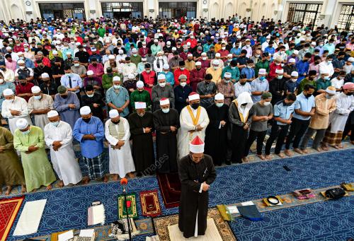 FASA PERALIHAN KE ENDEMIK